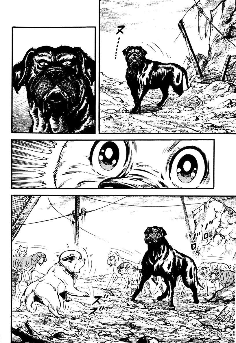 Page 55