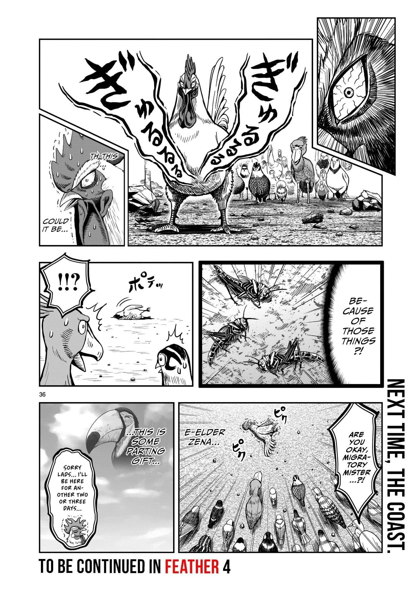 Page 36