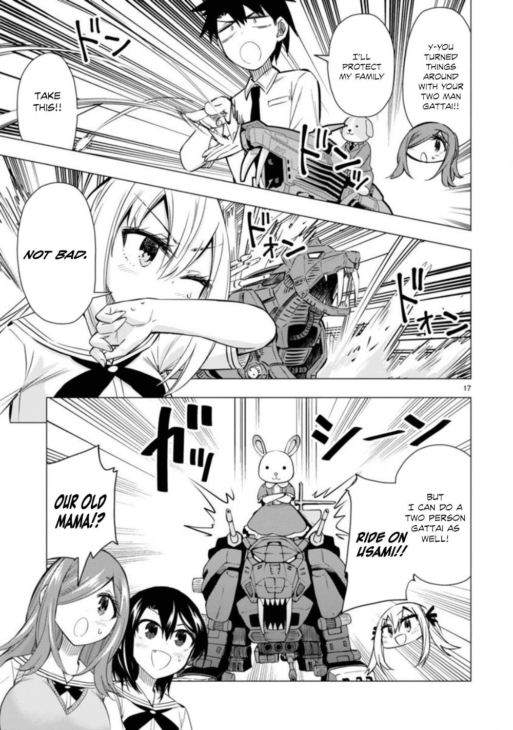 Page 17