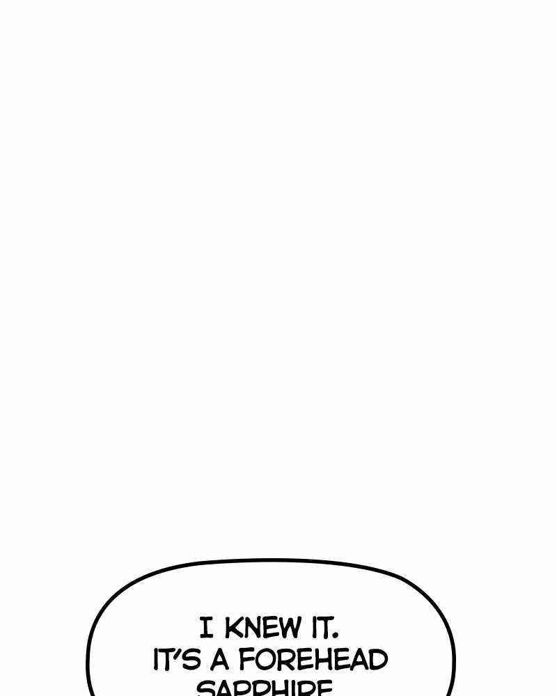 Page 257
