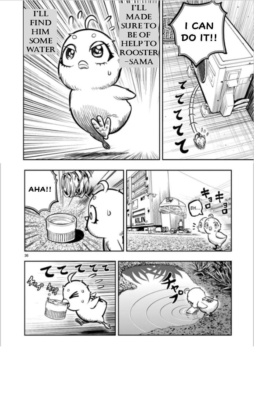 Page 36