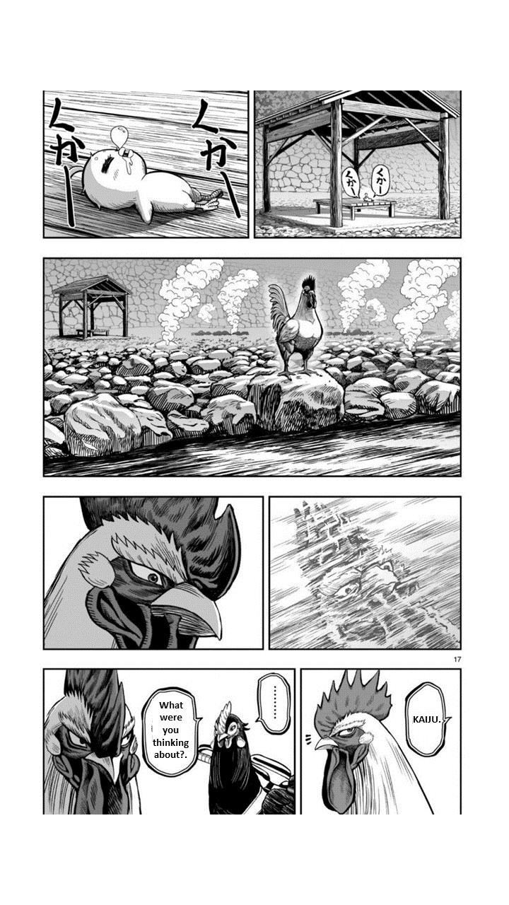 Page 17